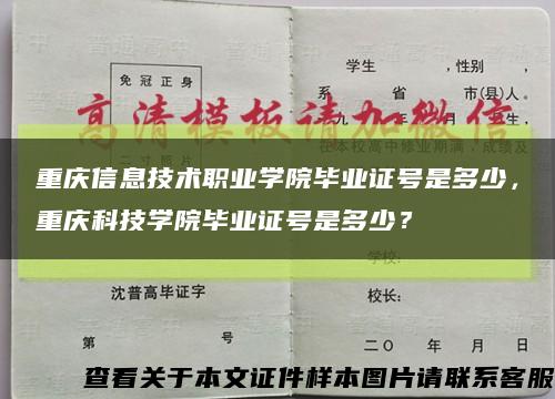 重庆信息技术职业学院毕业证号是多少，重庆科技学院毕业证号是多少？缩略图