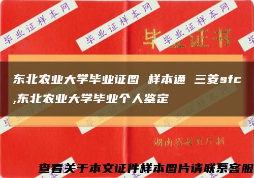 东北农业大学毕业证图 样本通 三菱sfc,东北农业大学毕业个人鉴定缩略图