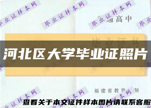 河北区大学毕业证照片缩略图