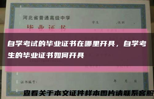 自学考试的毕业证书在哪里开具，自学考生的毕业证书如何开具缩略图