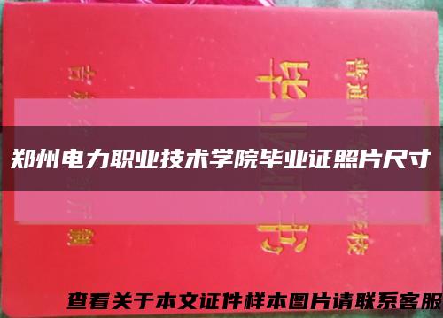 郑州电力职业技术学院毕业证照片尺寸缩略图