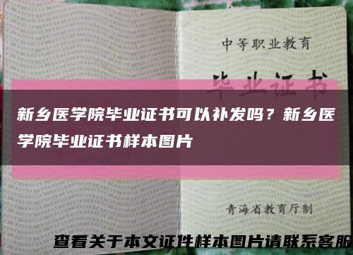 新乡医学院毕业证书可以补发吗？新乡医学院毕业证书样本图片缩略图