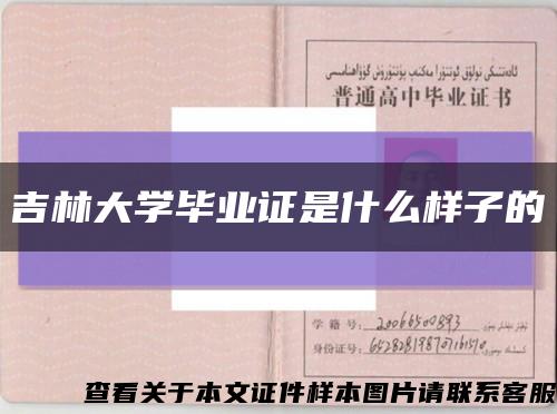 吉林大学毕业证是什么样子的缩略图