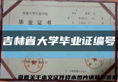 吉林省大学毕业证编号缩略图