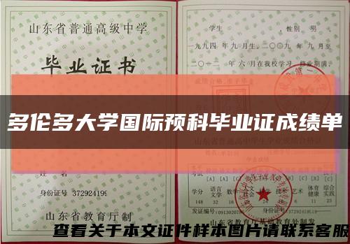 多伦多大学国际预科毕业证成绩单缩略图