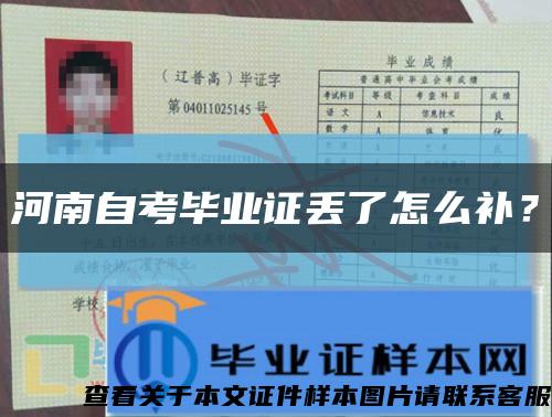 河南自考毕业证丢了怎么补？缩略图