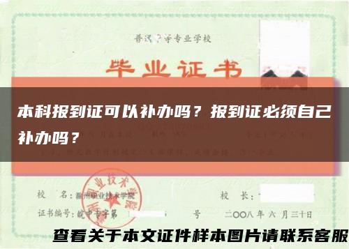 本科报到证可以补办吗？报到证必须自己补办吗？缩略图