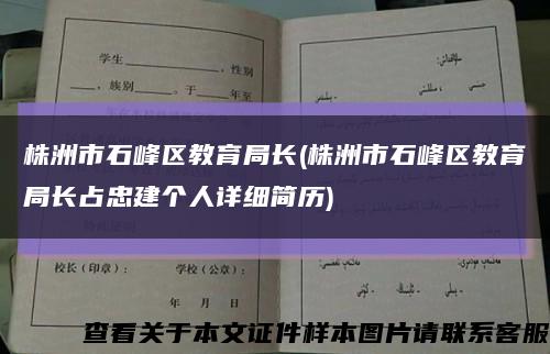 株洲市石峰区教育局长(株洲市石峰区教育局长占忠建个人详细简历)缩略图