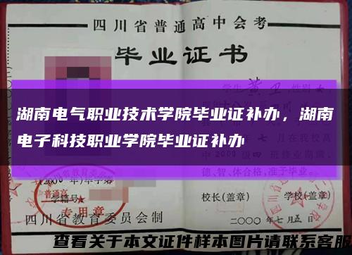 湖南电气职业技术学院毕业证补办，湖南电子科技职业学院毕业证补办缩略图