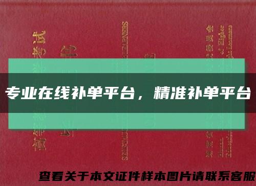 专业在线补单平台，精准补单平台缩略图