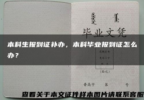 本科生报到证补办，本科毕业报到证怎么办？缩略图