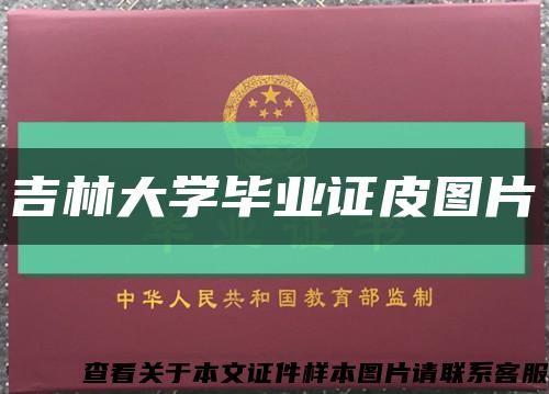 吉林大学毕业证皮图片缩略图