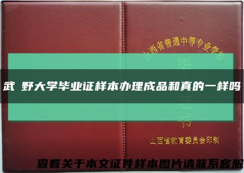 武蔵野大学毕业证样本办理成品和真的一样吗缩略图