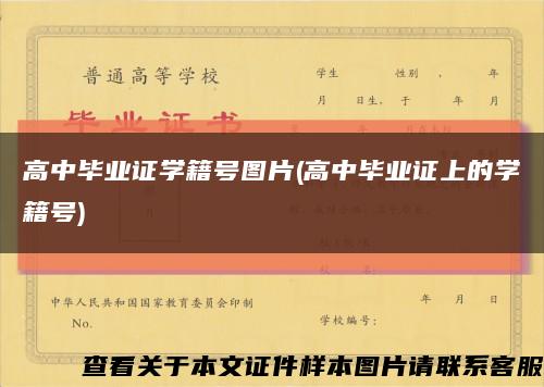 高中毕业证学籍号图片(高中毕业证上的学籍号)缩略图