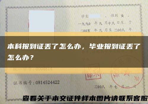 本科报到证丢了怎么办，毕业报到证丢了怎么办？缩略图