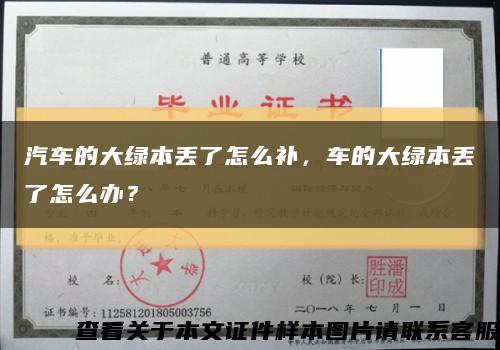 汽车的大绿本丢了怎么补，车的大绿本丢了怎么办？缩略图