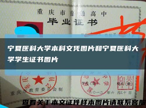 宁夏医科大学本科文凭图片和宁夏医科大学学生证书图片缩略图