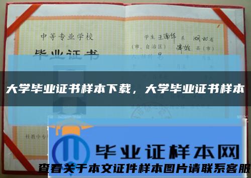 大学毕业证书样本下载，大学毕业证书样本缩略图