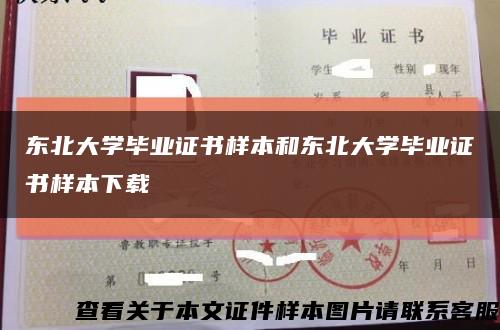 东北大学毕业证书样本和东北大学毕业证书样本下载缩略图