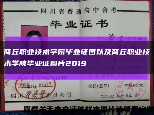 商丘职业技术学院毕业证图以及商丘职业技术学院毕业证图片2019缩略图