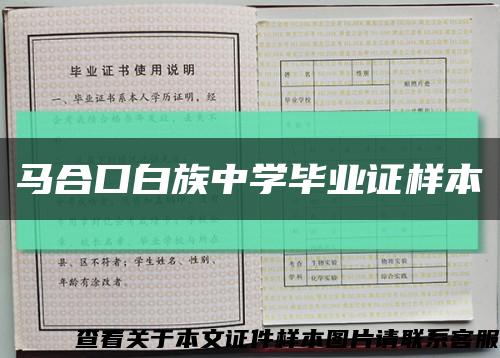 马合口白族中学毕业证样本缩略图