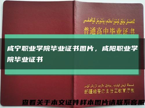 咸宁职业学院毕业证书图片，咸阳职业学院毕业证书缩略图