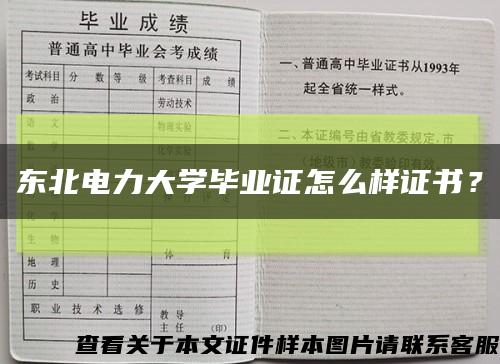 东北电力大学毕业证怎么样证书？缩略图