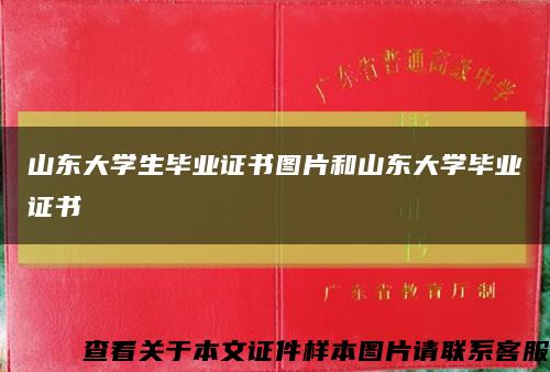 山东大学生毕业证书图片和山东大学毕业证书缩略图