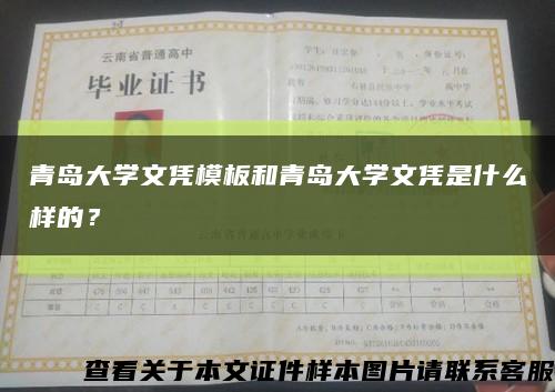 青岛大学文凭模板和青岛大学文凭是什么样的？缩略图