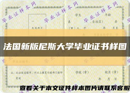 法国新版尼斯大学毕业证书样图缩略图