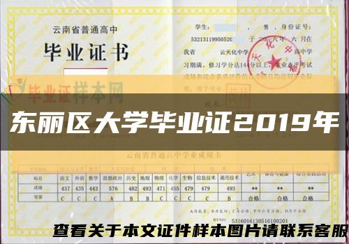 东丽区大学毕业证2019年缩略图