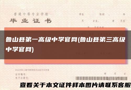 鲁山县第一高级中学官网(鲁山县第三高级中学官网)缩略图