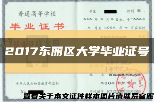 2017东丽区大学毕业证号缩略图