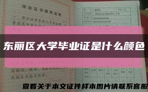 东丽区大学毕业证是什么颜色缩略图