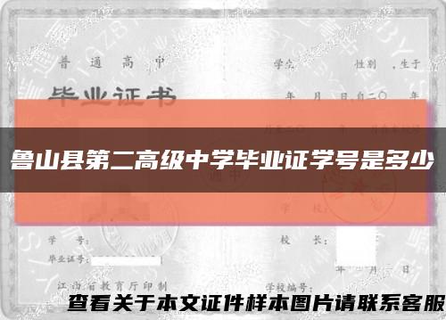 鲁山县第二高级中学毕业证学号是多少缩略图