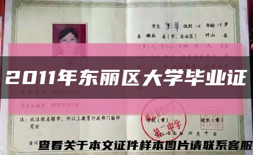 2011年东丽区大学毕业证缩略图