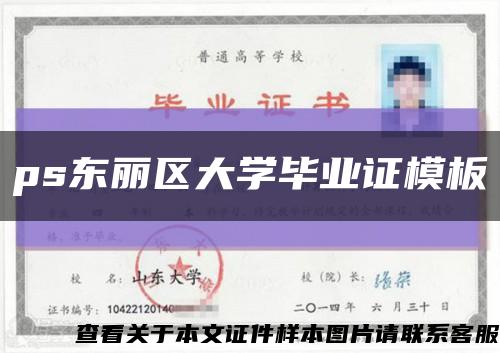 ps东丽区大学毕业证模板缩略图