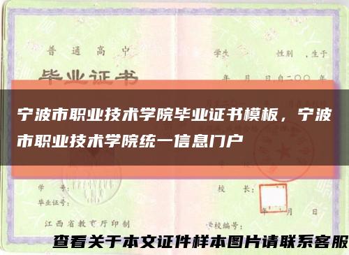 宁波市职业技术学院毕业证书模板，宁波市职业技术学院统一信息门户缩略图