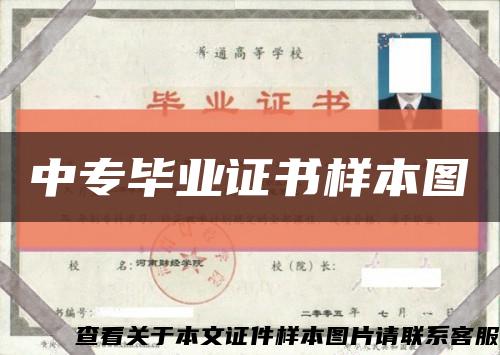 中专毕业证书样本图缩略图