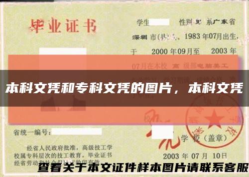 本科文凭和专科文凭的图片，本科文凭缩略图