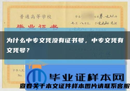 为什么中专文凭没有证书号，中专文凭有文凭号？缩略图