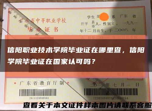 信阳职业技术学院毕业证在哪里查，信阳学院毕业证在国家认可吗？缩略图