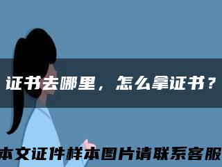 证书去哪里，怎么拿证书？缩略图