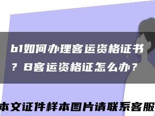 b1如何办理客运资格证书？B客运资格证怎么办？缩略图