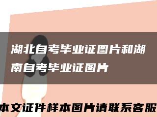 湖北自考毕业证图片和湖南自考毕业证图片缩略图