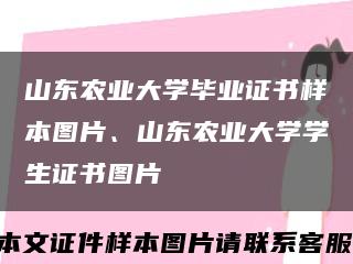 山东农业大学毕业证书样本图片、山东农业大学学生证书图片缩略图