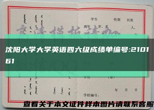 沈阳大学大学英语四六级成绩单编号:210161缩略图