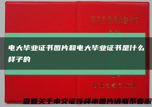 电大毕业证书图片和电大毕业证书是什么样子的缩略图