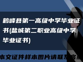 鹤峰县第一高级中学毕业证书(盐城第二职业高级中学毕业证书)缩略图