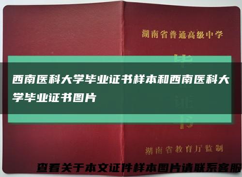 西南医科大学毕业证书样本和西南医科大学毕业证书图片缩略图